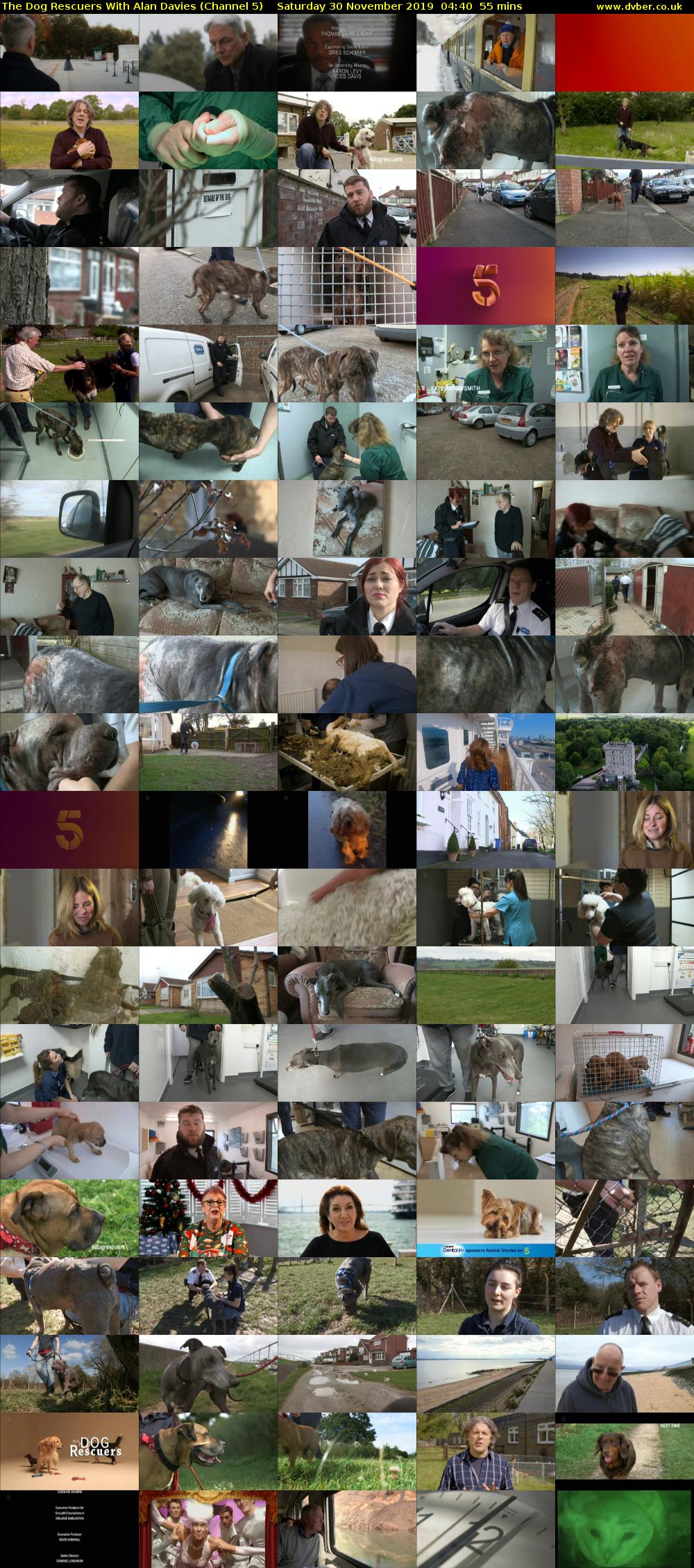 The Dog Rescuers With Alan Davies (Channel 5) Saturday 30 November 2019 04:40 - 05:35
