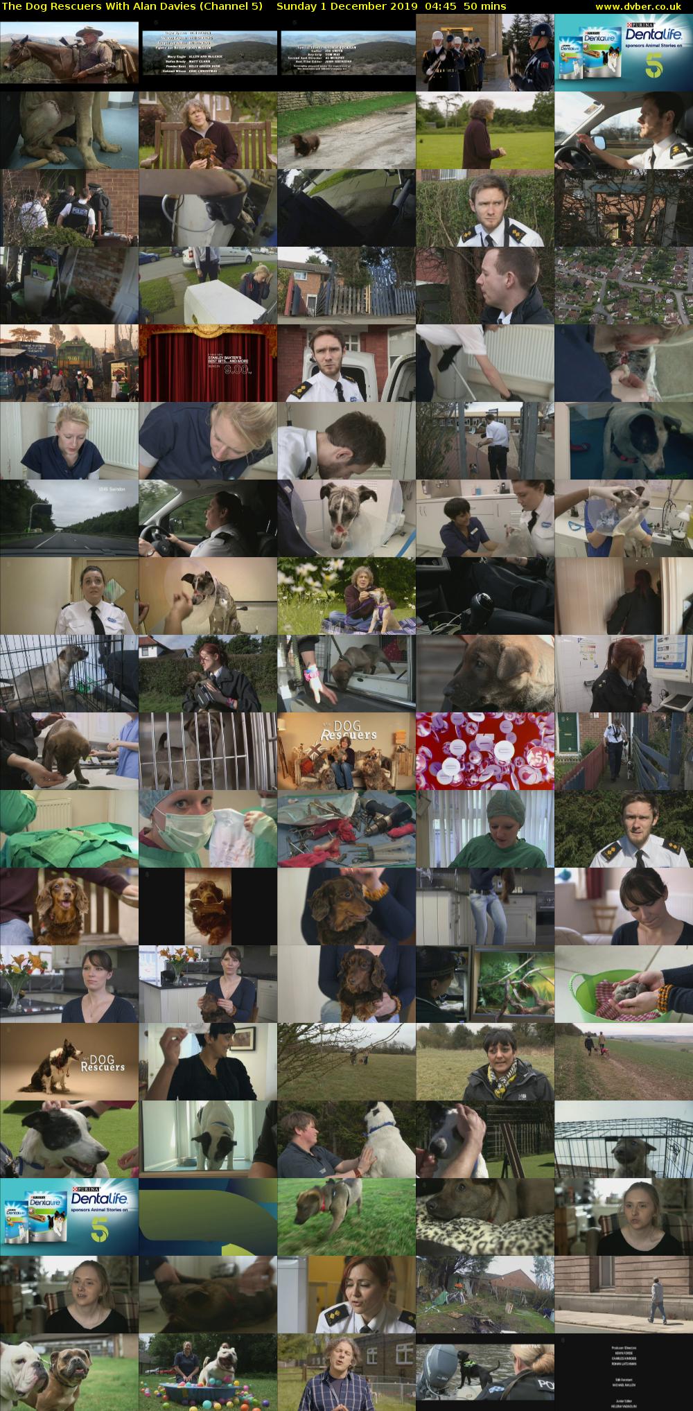 The Dog Rescuers With Alan Davies (Channel 5) Sunday 1 December 2019 04:45 - 05:35