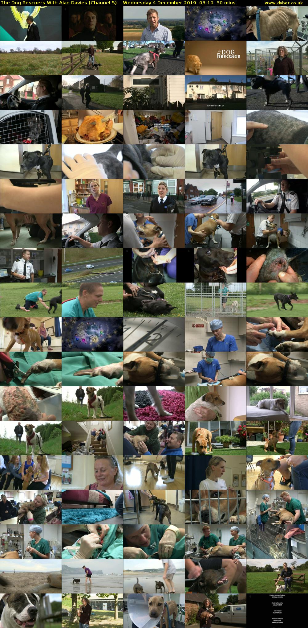 The Dog Rescuers With Alan Davies (Channel 5) Wednesday 4 December 2019 03:10 - 04:00