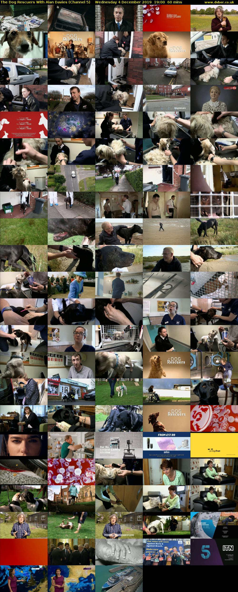 The Dog Rescuers With Alan Davies (Channel 5) Wednesday 4 December 2019 19:00 - 20:00