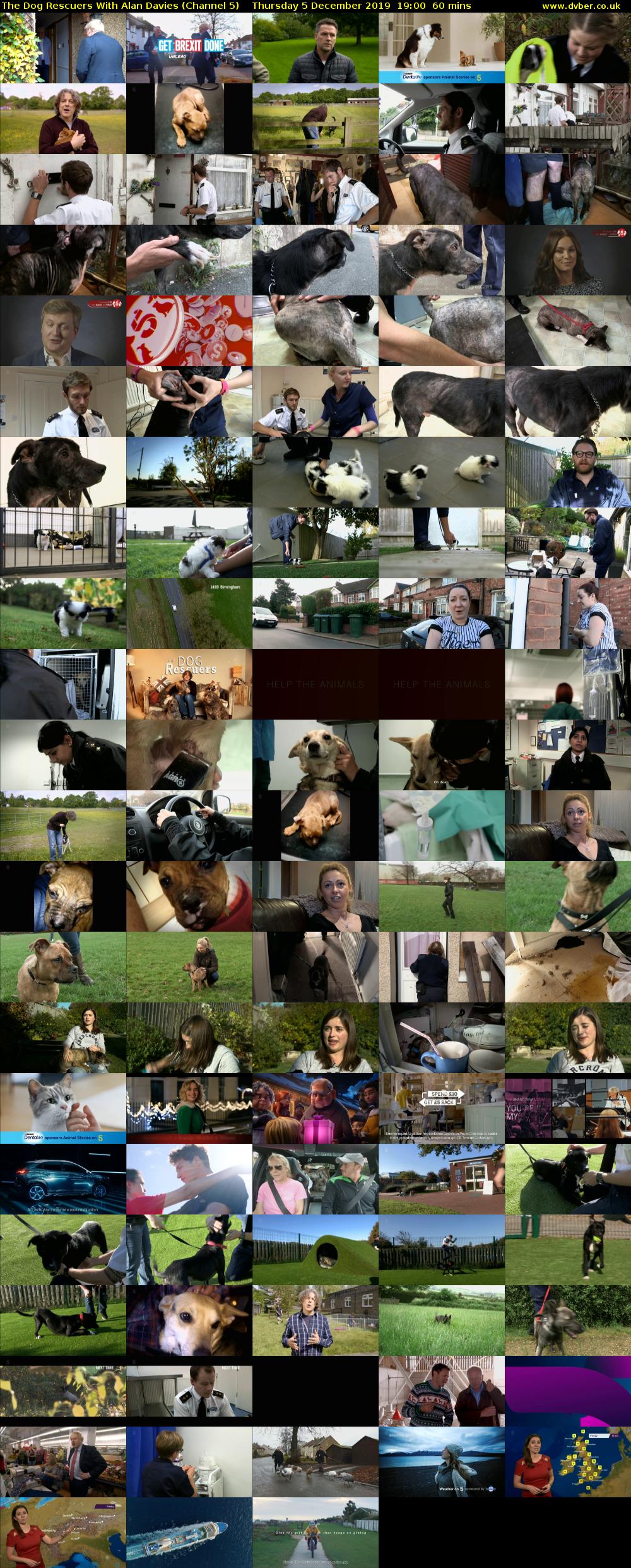 The Dog Rescuers With Alan Davies (Channel 5) Thursday 5 December 2019 19:00 - 20:00