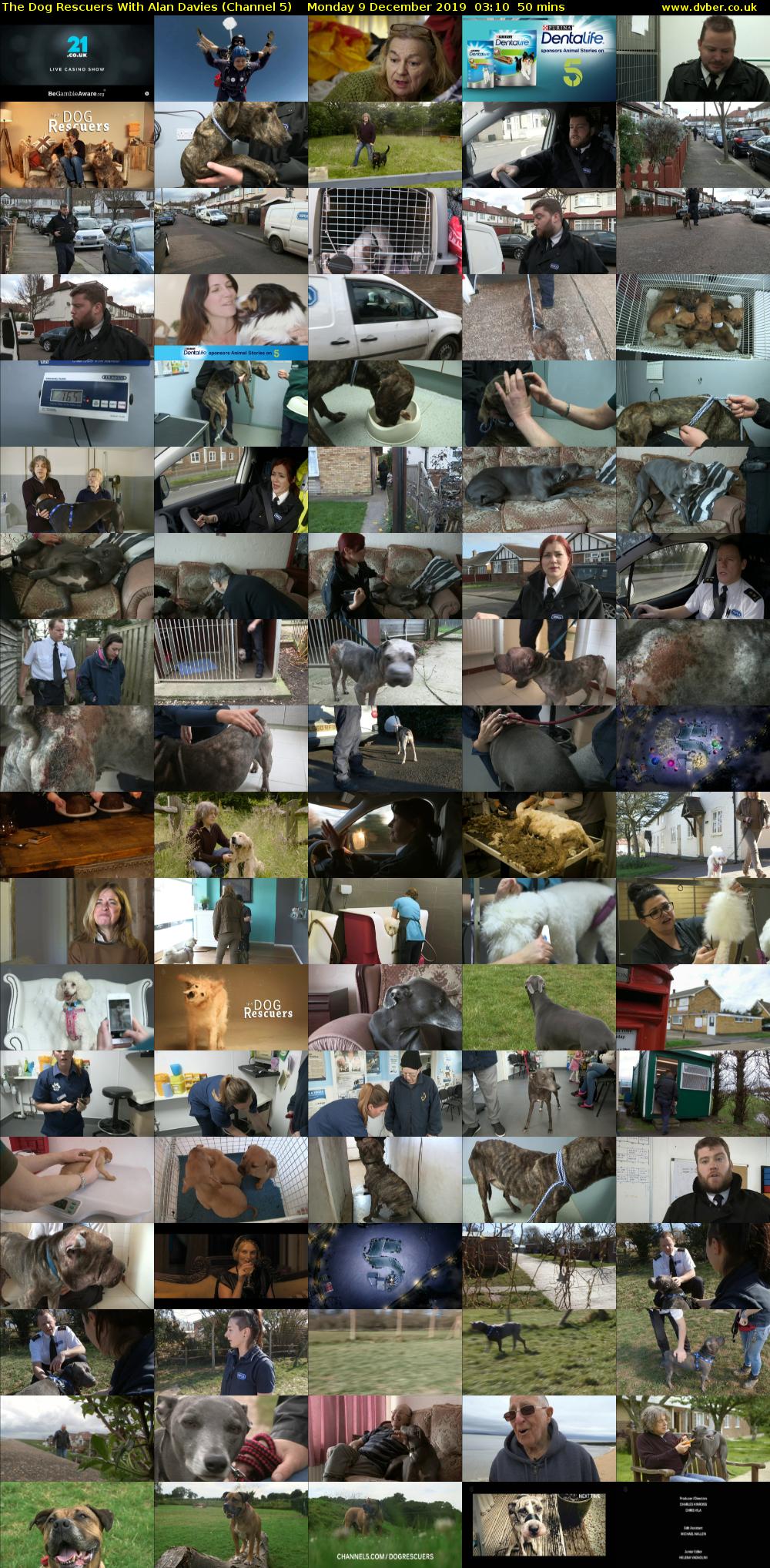 The Dog Rescuers With Alan Davies (Channel 5) Monday 9 December 2019 03:10 - 04:00