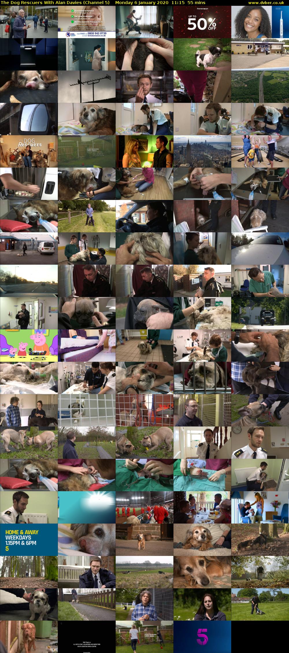 The Dog Rescuers With Alan Davies (Channel 5) Monday 6 January 2020 11:15 - 12:10