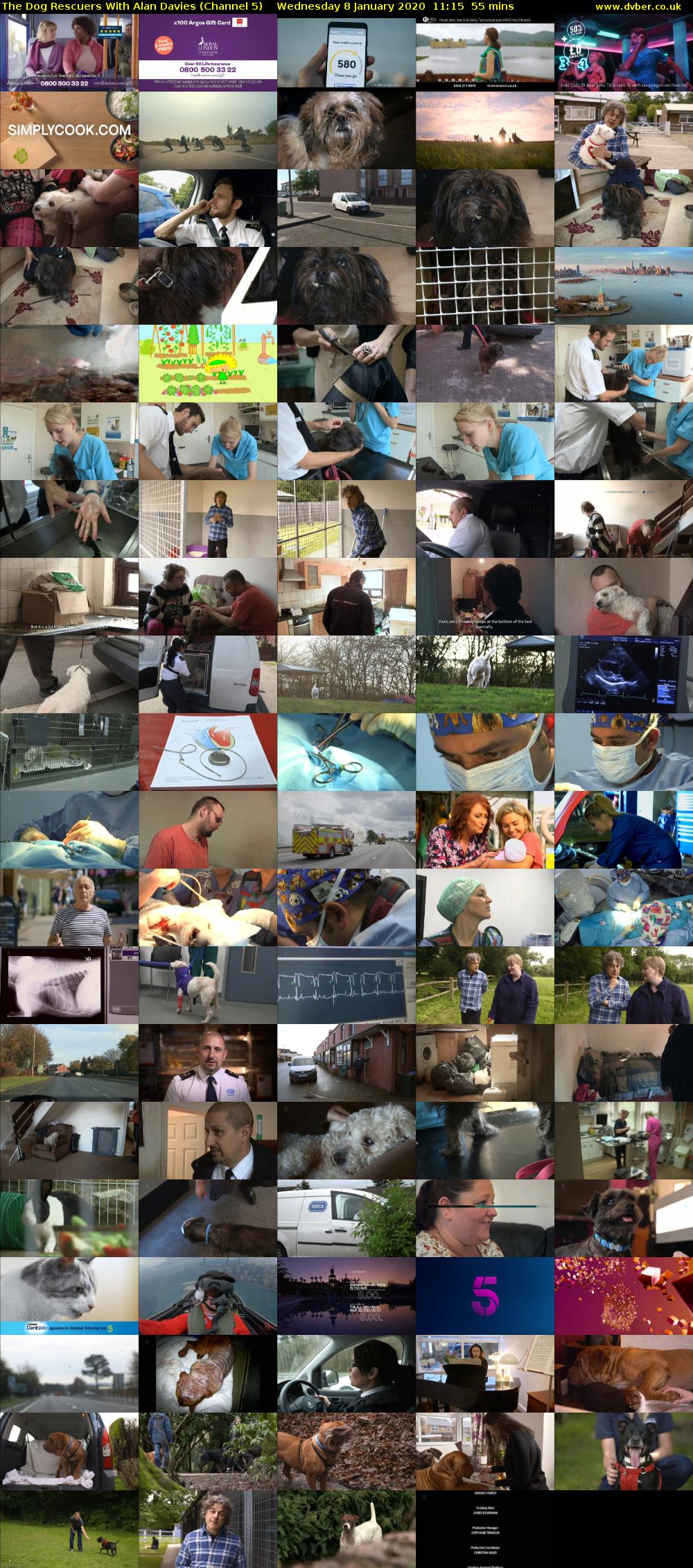The Dog Rescuers With Alan Davies (Channel 5) Wednesday 8 January 2020 11:15 - 12:10