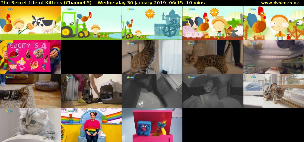 The Secret Life of Kittens (Channel 5) Wednesday 30 January 2019 06:15 - 06:25