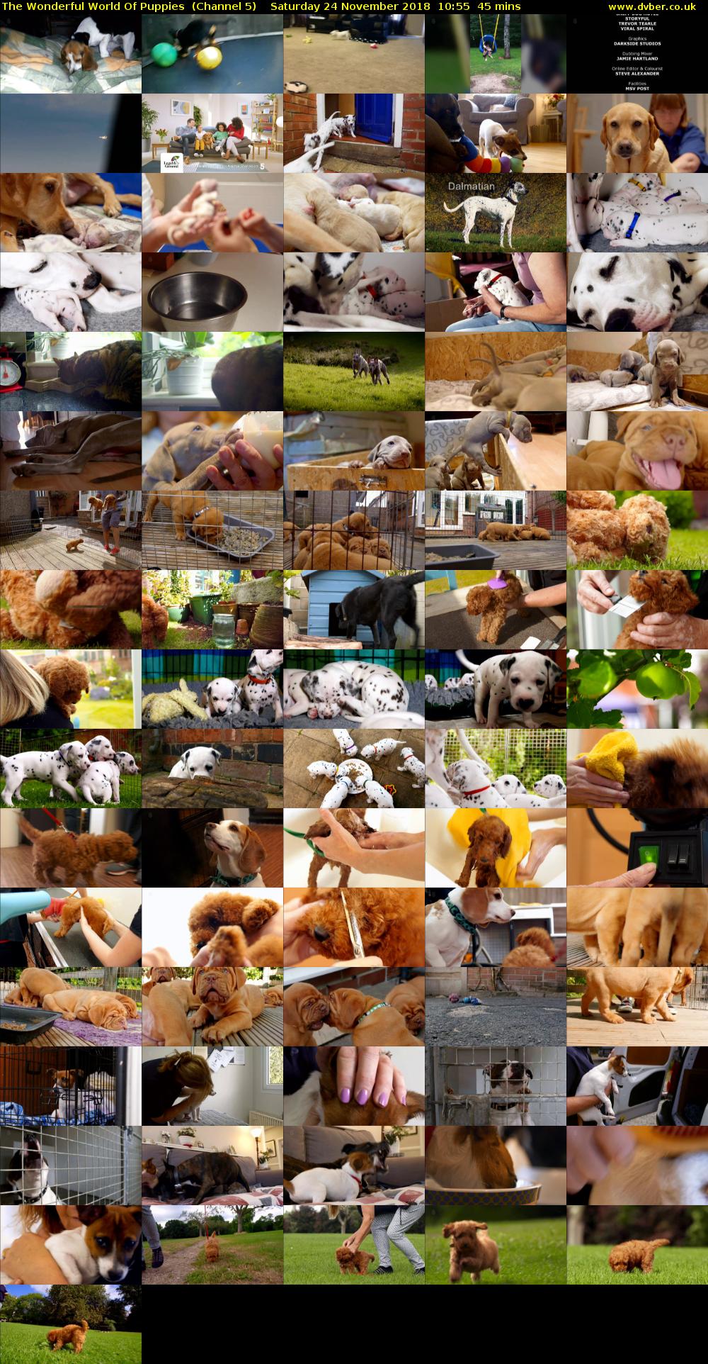 The Wonderful World Of Puppies  (Channel 5) Saturday 24 November 2018 10:55 - 11:40