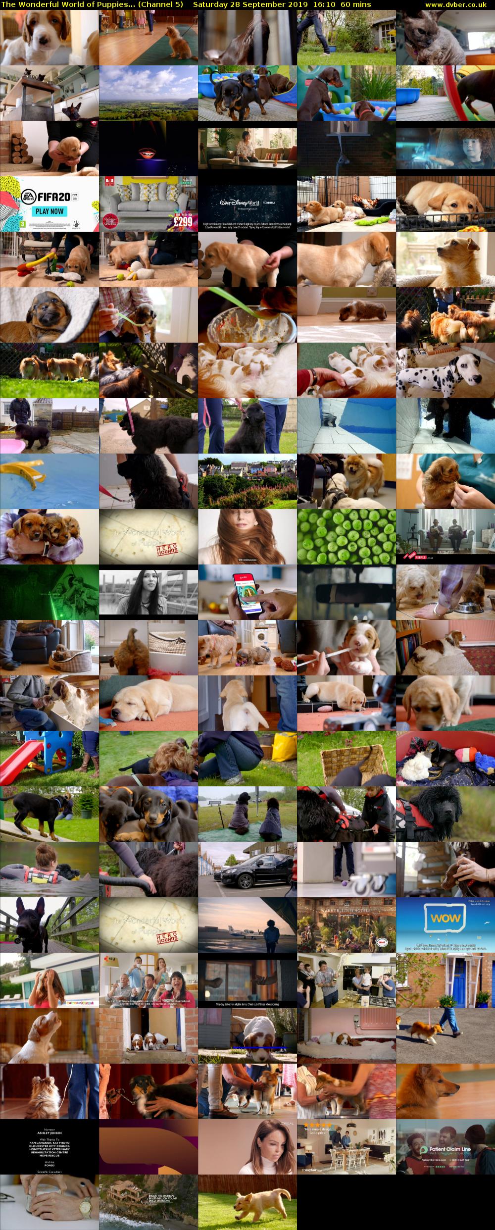 The Wonderful World of Puppies... (Channel 5) Saturday 28 September 2019 16:10 - 17:10
