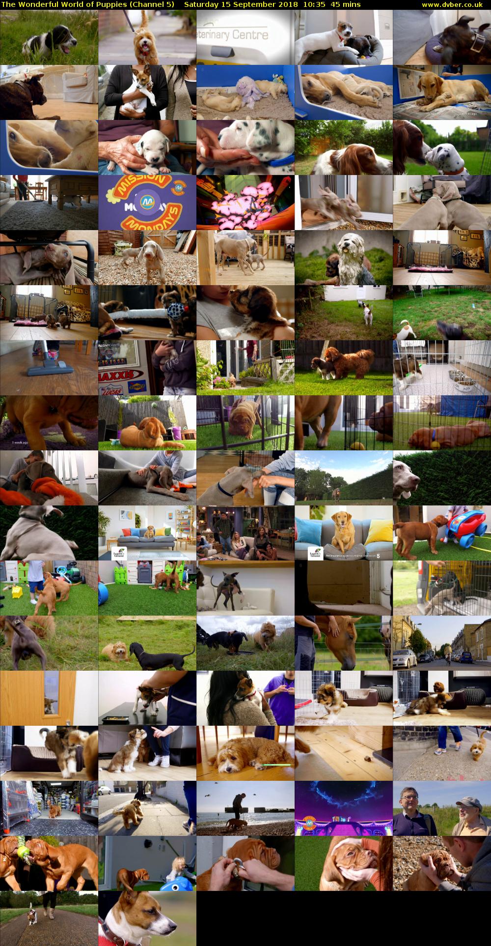 The Wonderful World of Puppies (Channel 5) Saturday 15 September 2018 10:35 - 11:20