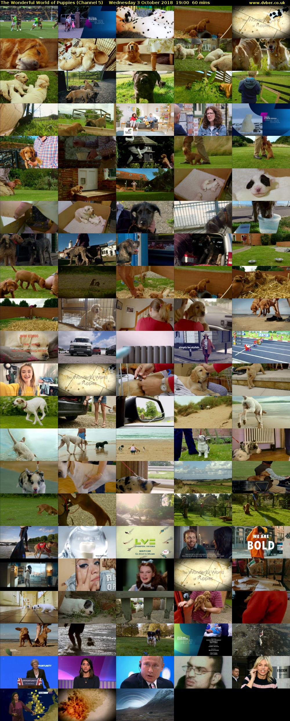 The Wonderful World of Puppies (Channel 5) Wednesday 3 October 2018 19:00 - 20:00