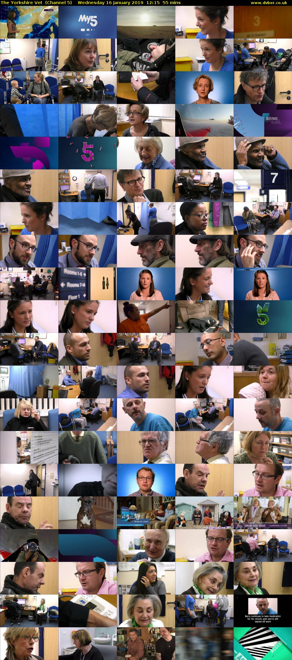 The Yorkshire Vet  (Channel 5) Wednesday 16 January 2019 12:15 - 13:10