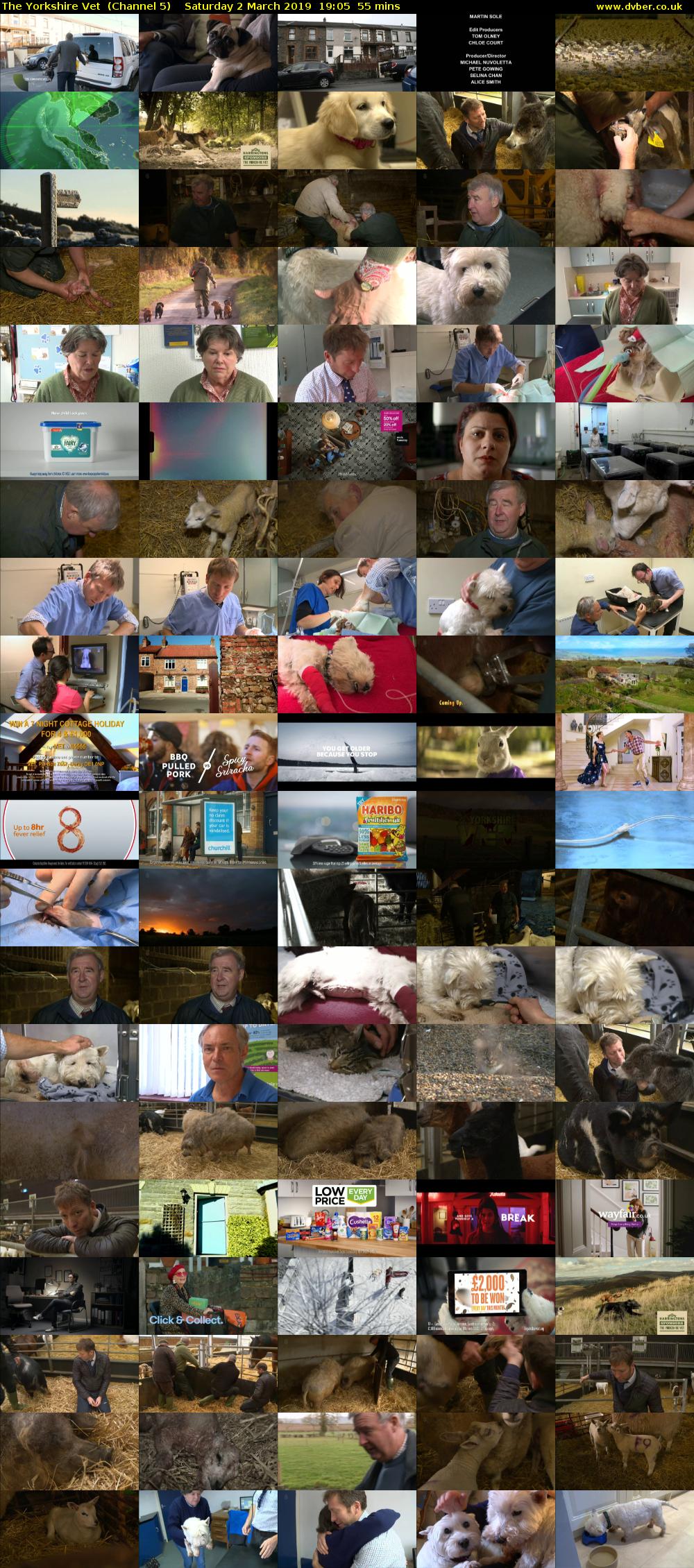 The Yorkshire Vet  (Channel 5) Saturday 2 March 2019 19:05 - 20:00