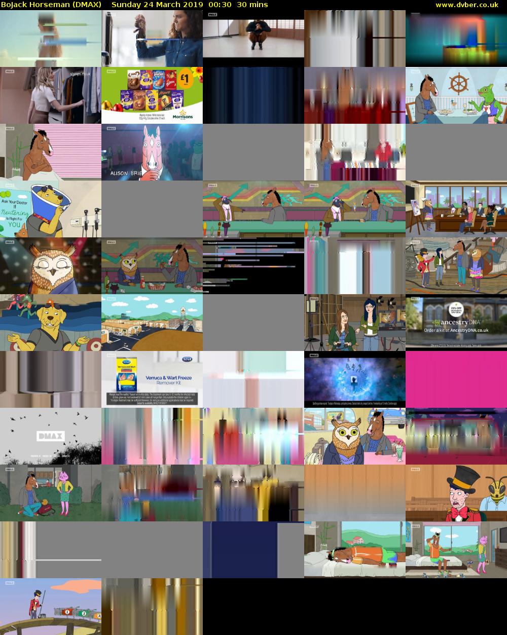 BoJack Horseman (DMAX) Sunday 24 March 2019 00:30 - 01:00
