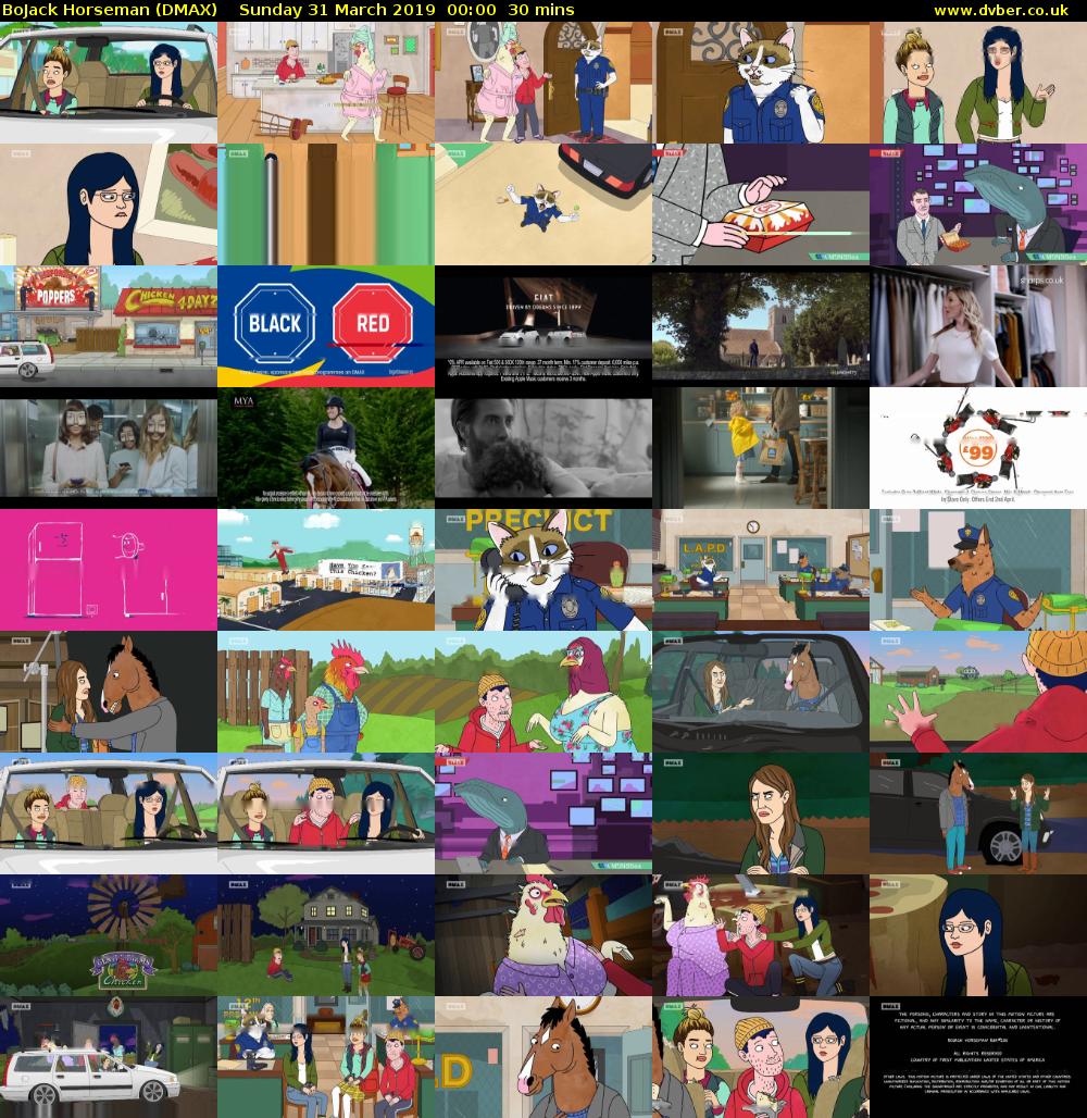 BoJack Horseman (DMAX) Sunday 31 March 2019 00:00 - 00:30