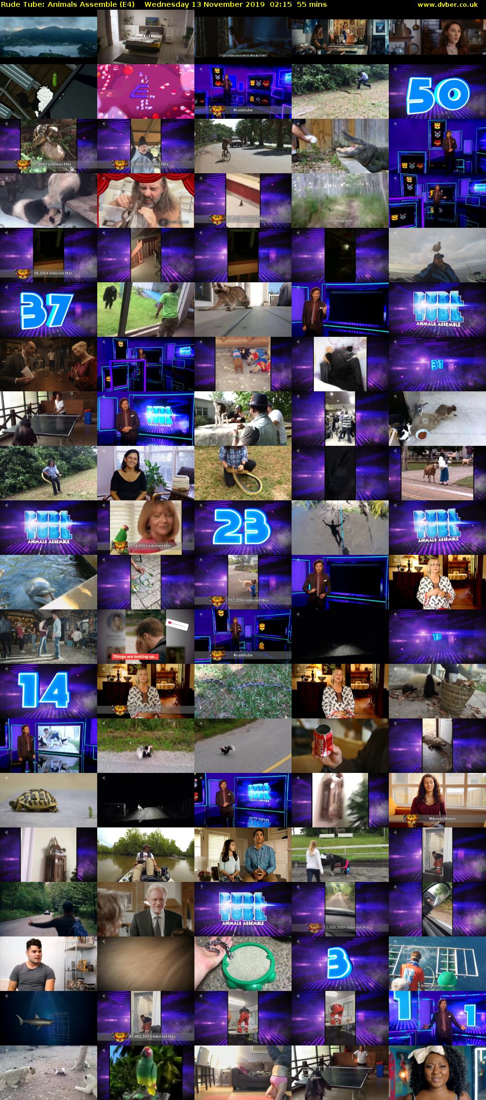 Rude Tube: Animals Assemble (E4) Wednesday 13 November 2019 02:15 - 03:10