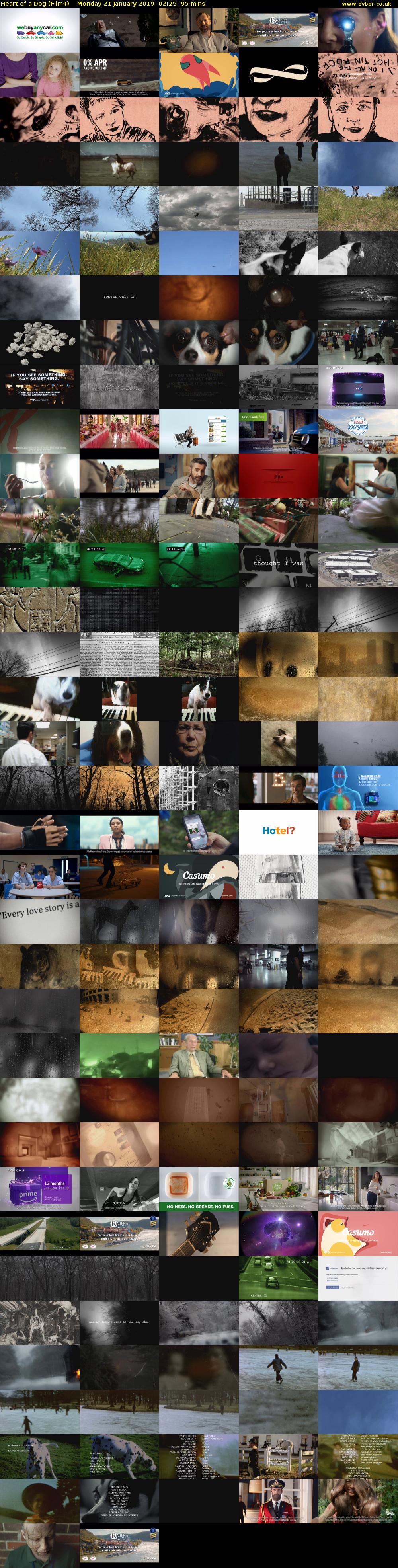 Heart of a Dog (Film4) Monday 21 January 2019 02:25 - 04:00