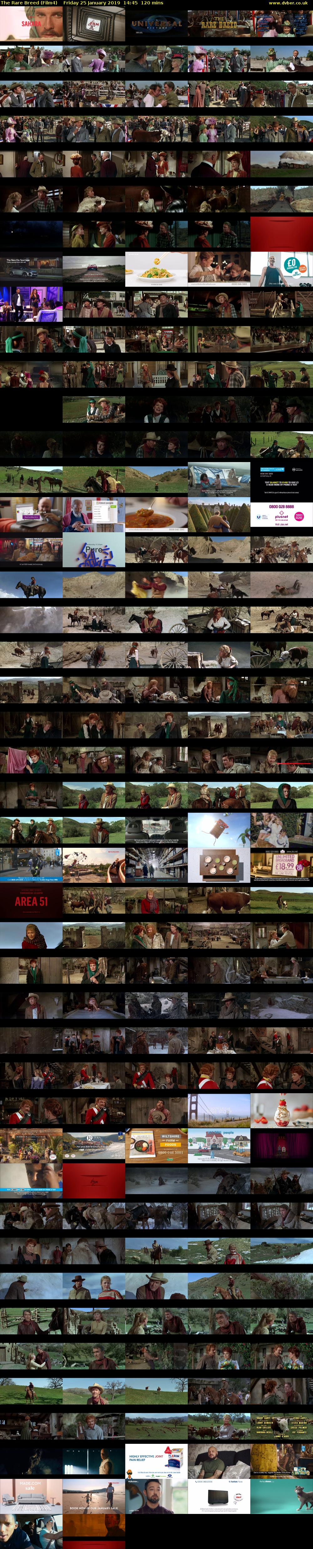 The Rare Breed (Film4) Friday 25 January 2019 14:45 - 16:45