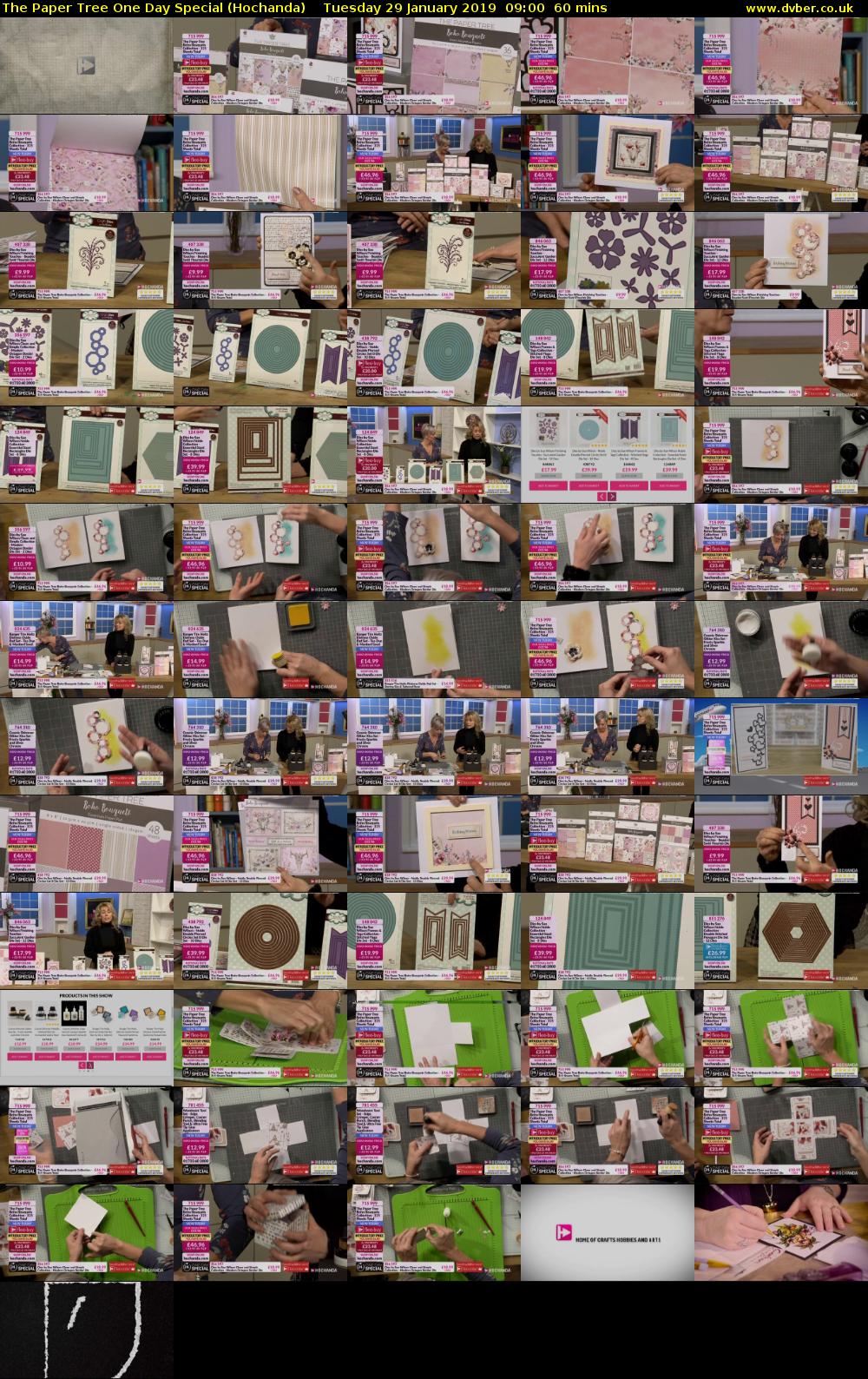 The Paper Tree One Day Special (Hochanda) Tuesday 29 January 2019 09:00 - 10:00