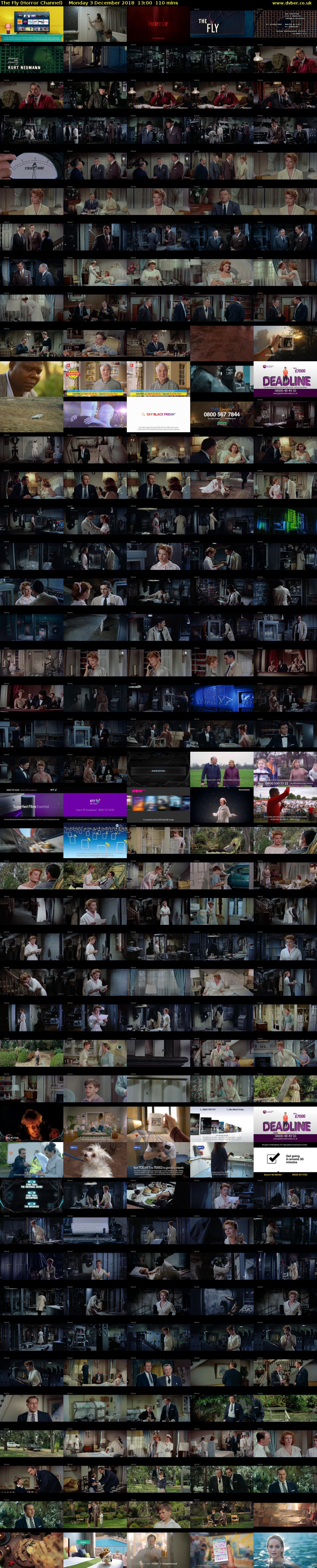 The Fly (Horror Channel) Monday 3 December 2018 13:00 - 14:50