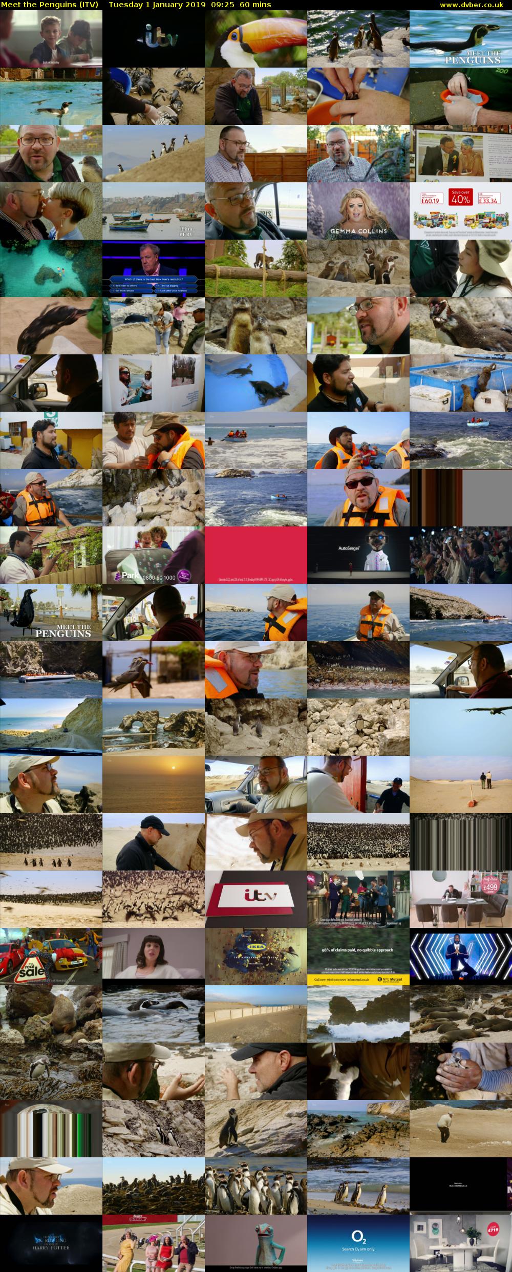 Meet the Penguins (ITV) Tuesday 1 January 2019 09:25 - 10:25