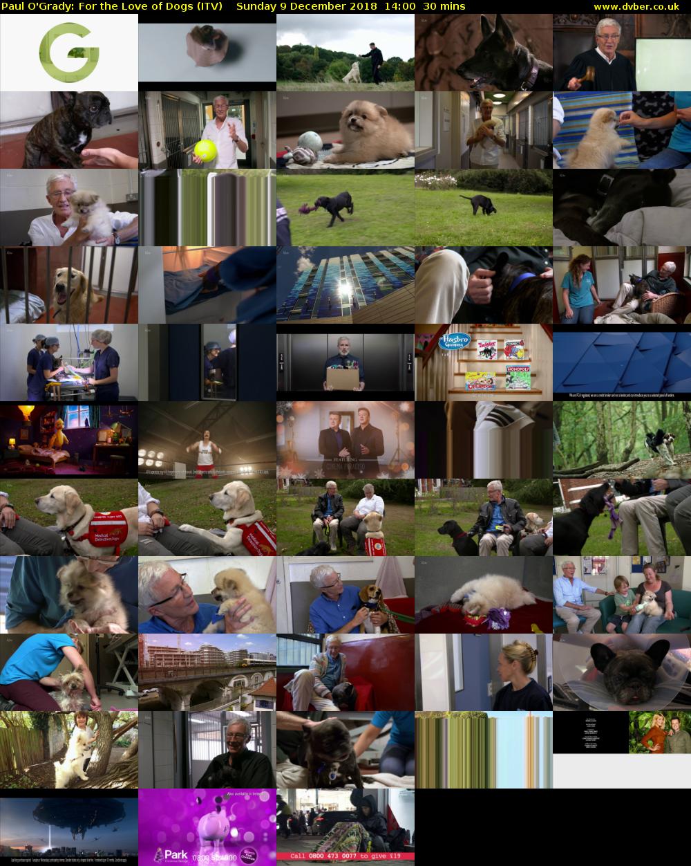 Paul O'Grady: For the Love of Dogs (ITV) Sunday 9 December 2018 14:00 - 14:30