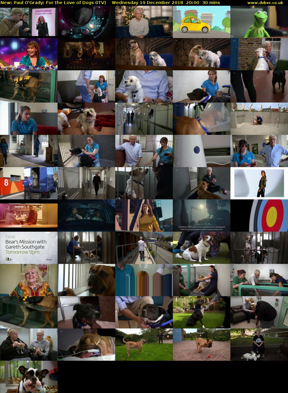 Paul O'Grady: For the Love of Dogs (ITV) Wednesday 19 December 2018 20:00 - 20:30
