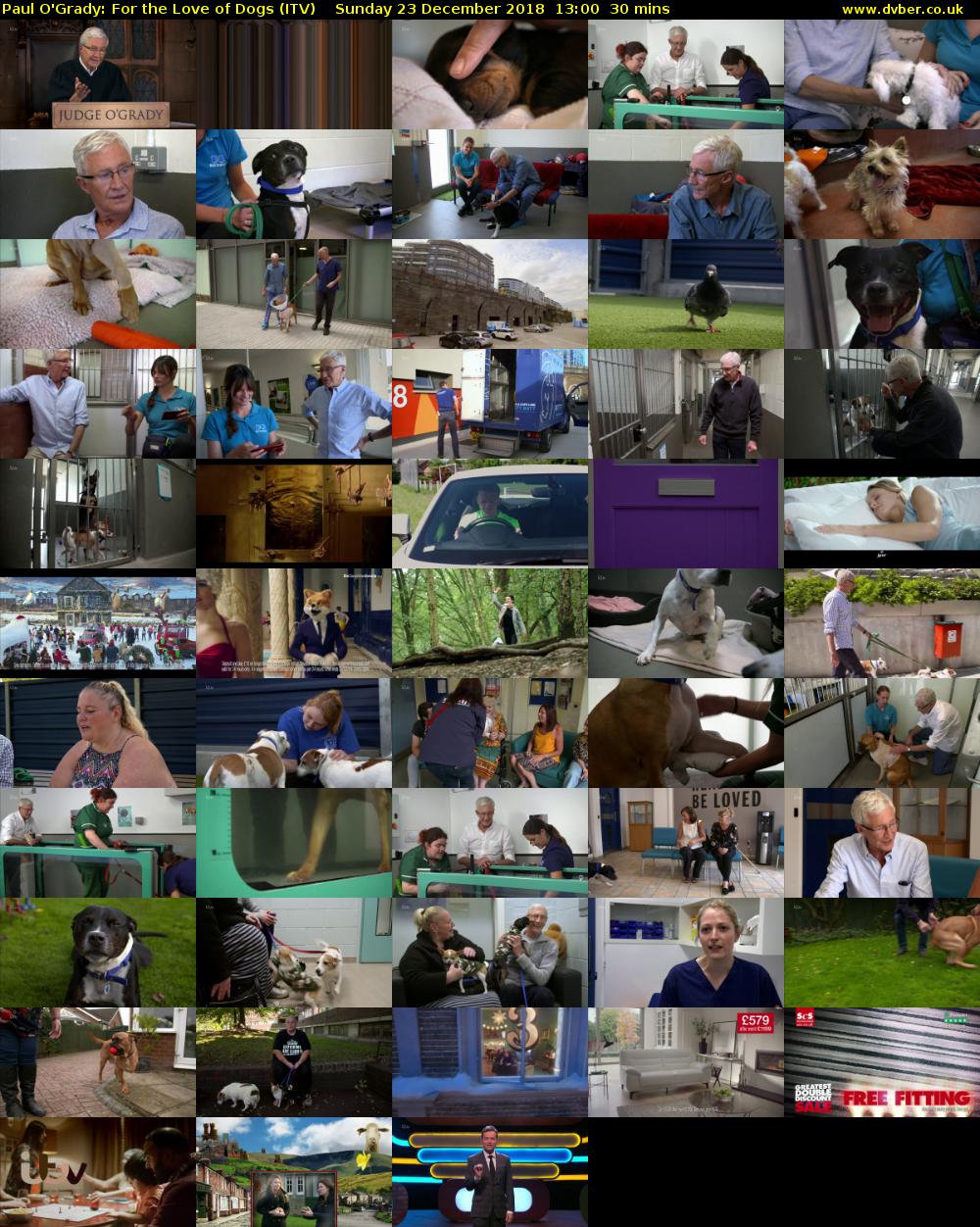 Paul O'Grady: For the Love of Dogs (ITV) Sunday 23 December 2018 13:00 - 13:30