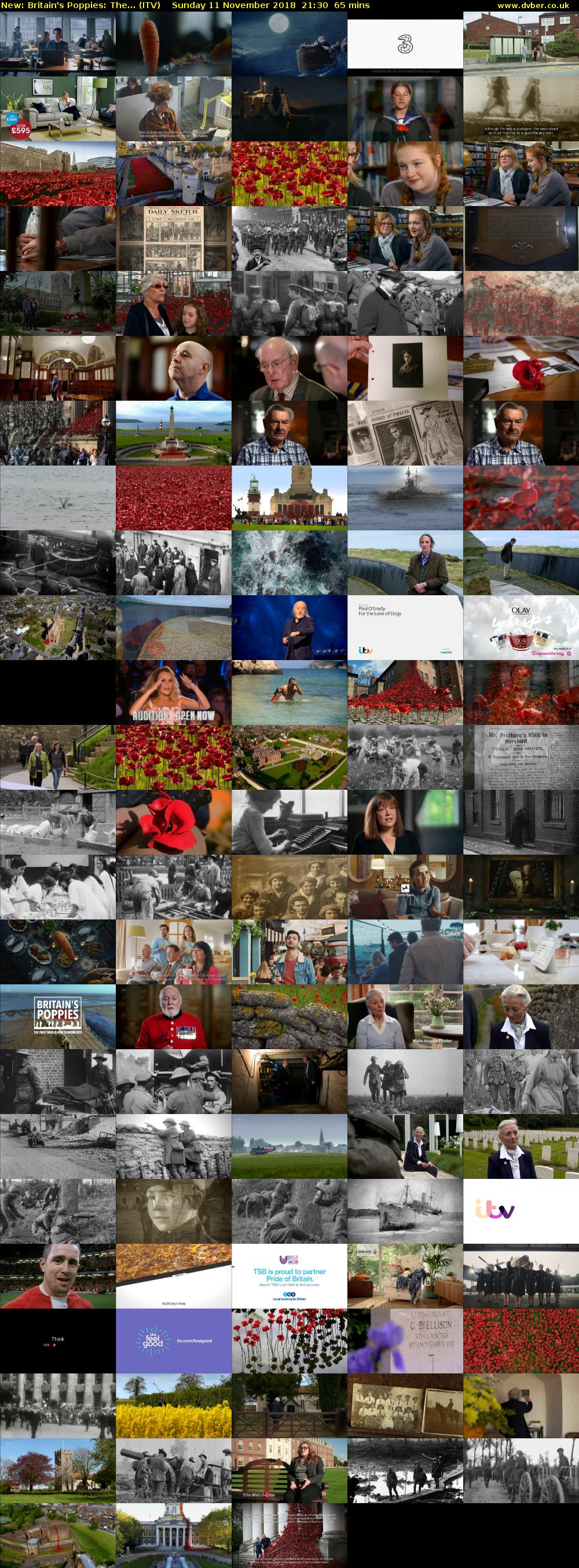 Britain's Poppies: The... (ITV) Sunday 11 November 2018 21:30 - 22:35