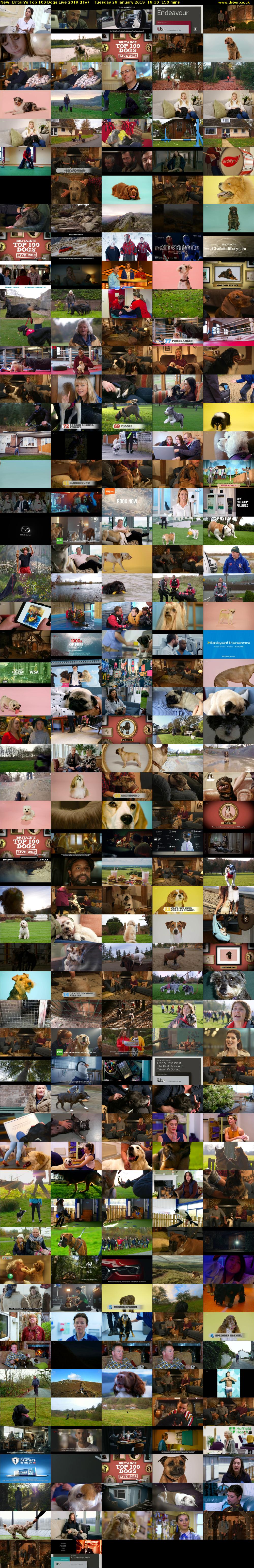 Britain's Top 100 Dogs Live 2019 (ITV) Tuesday 29 January 2019 19:30 - 22:00