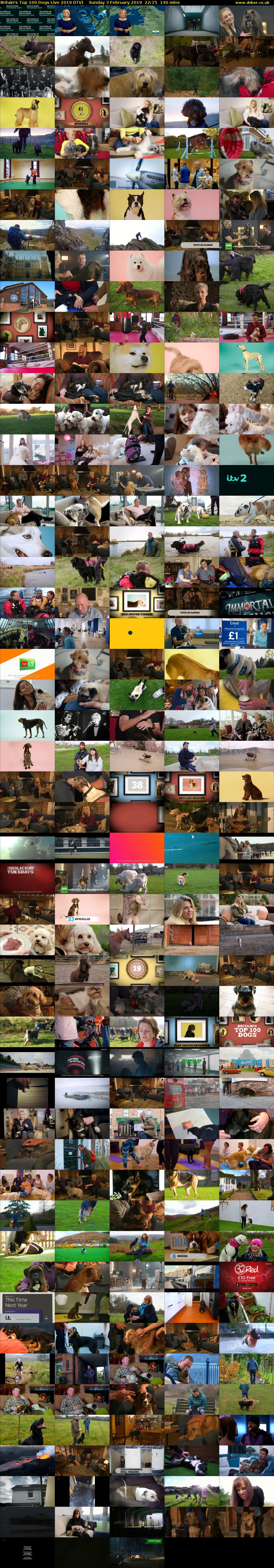 Britain's Top 100 Dogs Live 2019 (ITV) Sunday 3 February 2019 22:15 - 00:35