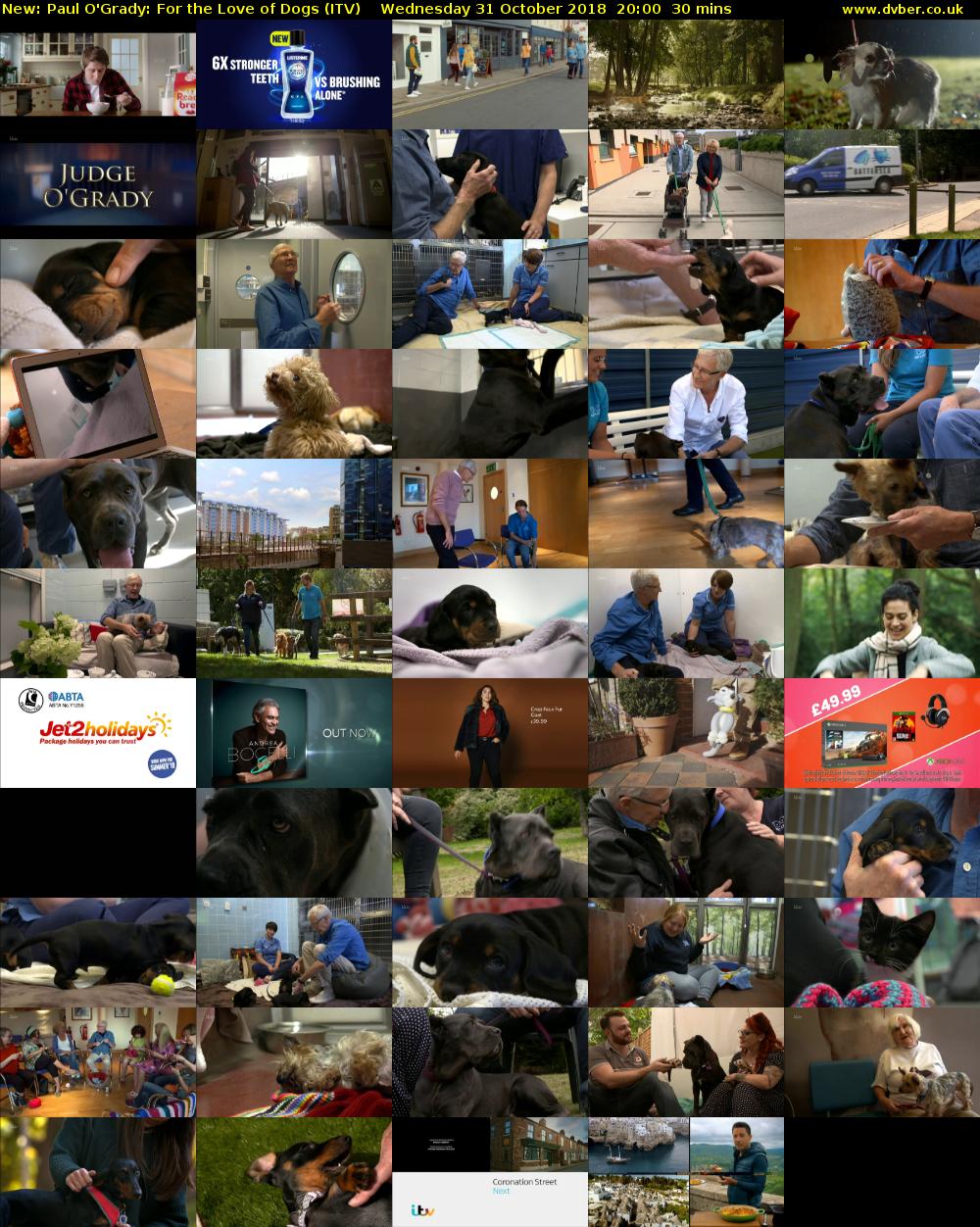 Paul O'Grady: For the Love of Dogs (ITV) Wednesday 31 October 2018 20:00 - 20:30