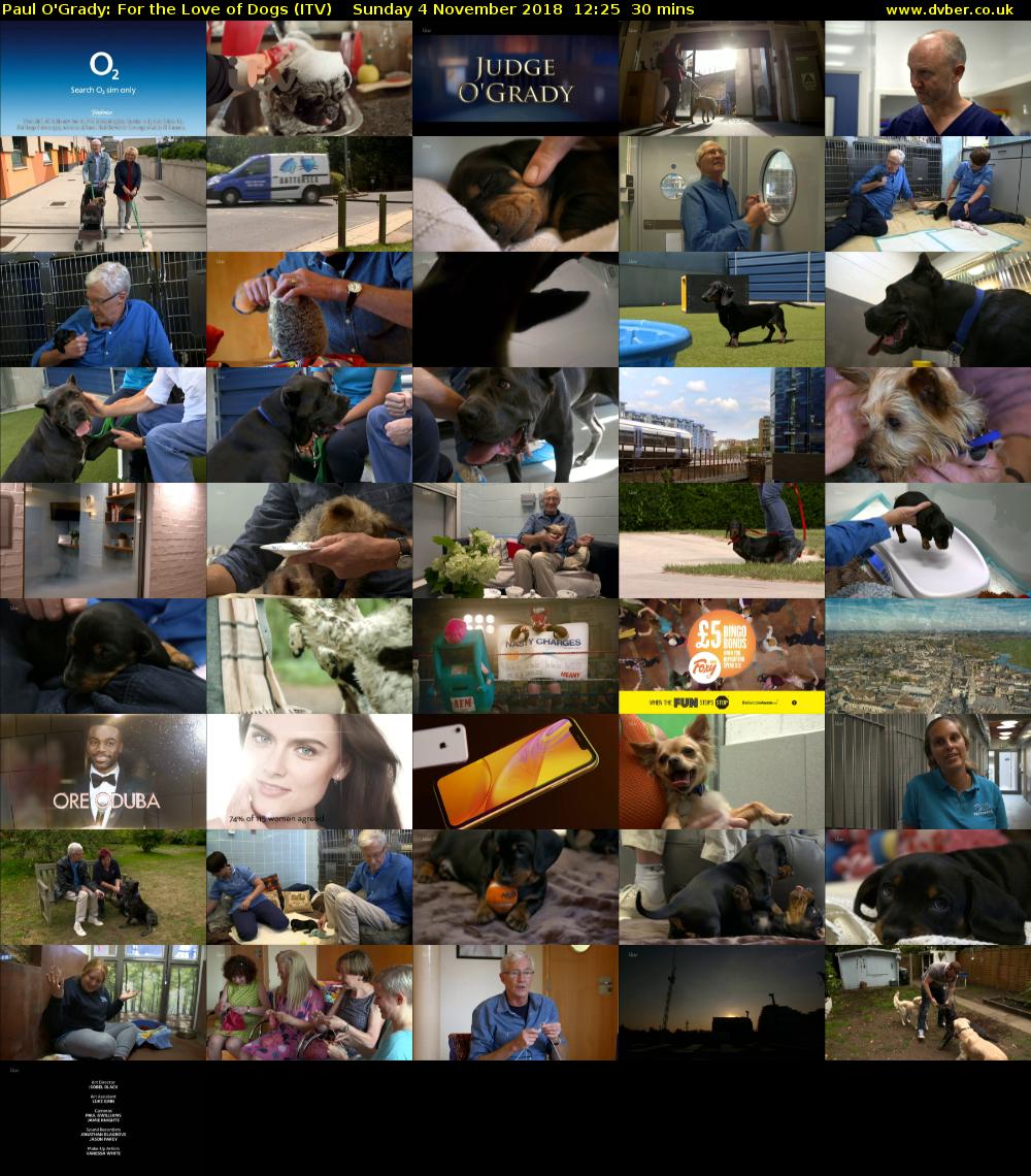 Paul O'Grady: For the Love of Dogs (ITV) Sunday 4 November 2018 12:25 - 12:55
