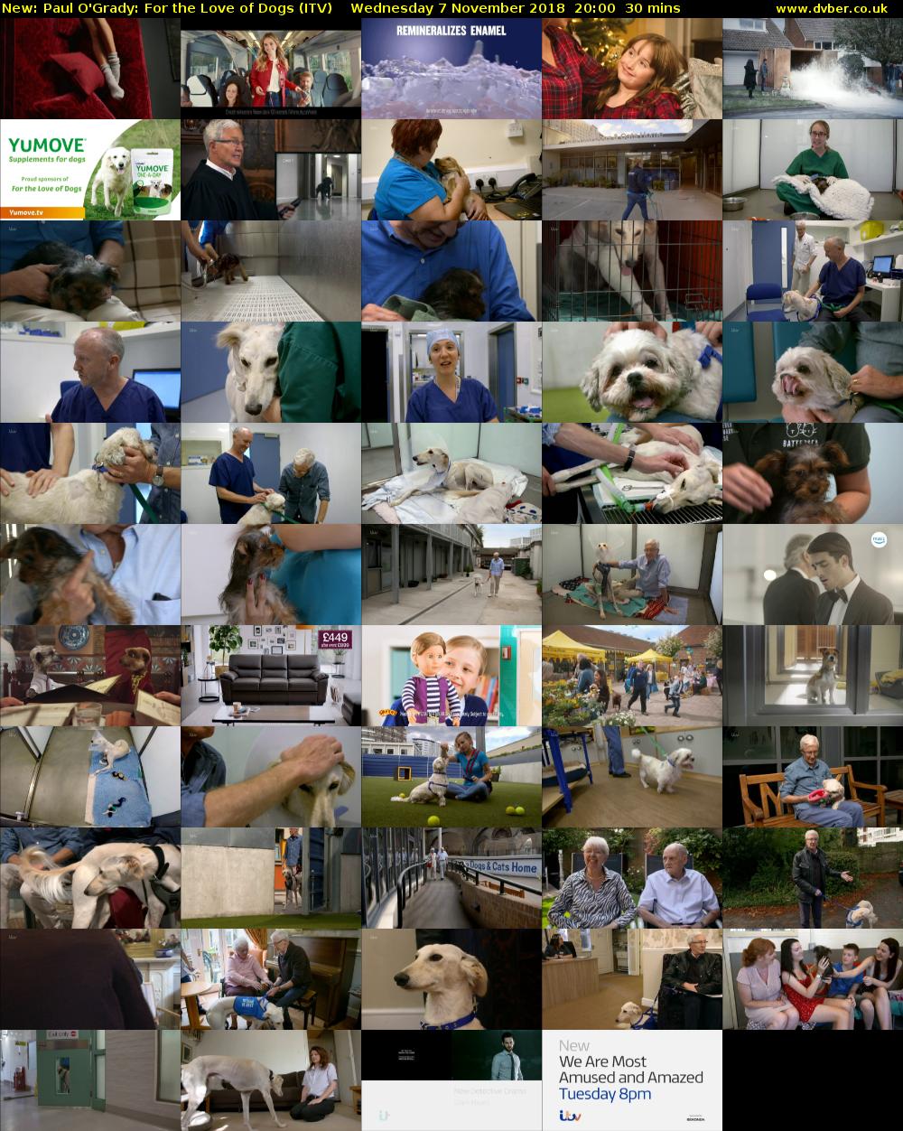 Paul O'Grady: For the Love of Dogs (ITV) Wednesday 7 November 2018 20:00 - 20:30