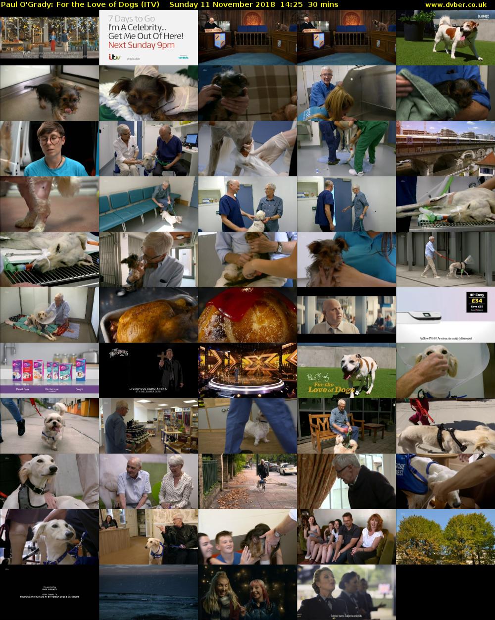 Paul O'Grady: For the Love of Dogs (ITV) Sunday 11 November 2018 14:25 - 14:55