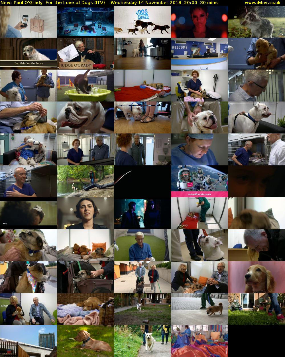 Paul O'Grady: For the Love of Dogs (ITV) Wednesday 14 November 2018 20:00 - 20:30