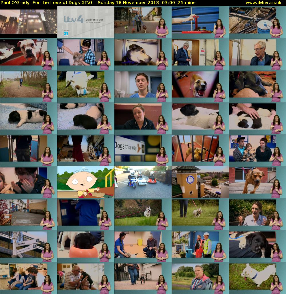 Paul O'Grady: For the Love of Dogs (ITV) Sunday 18 November 2018 03:00 - 03:25