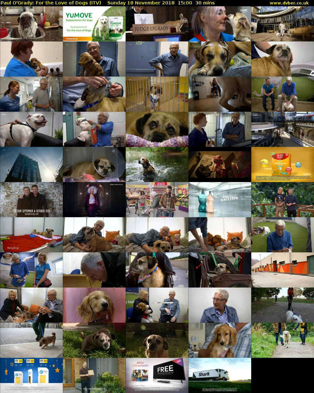 Paul O'Grady: For the Love of Dogs (ITV) Sunday 18 November 2018 15:00 - 15:30