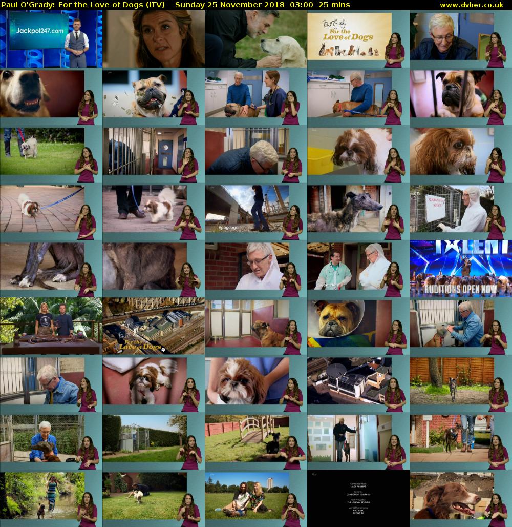 Paul O'Grady: For the Love of Dogs (ITV) Sunday 25 November 2018 03:00 - 03:25
