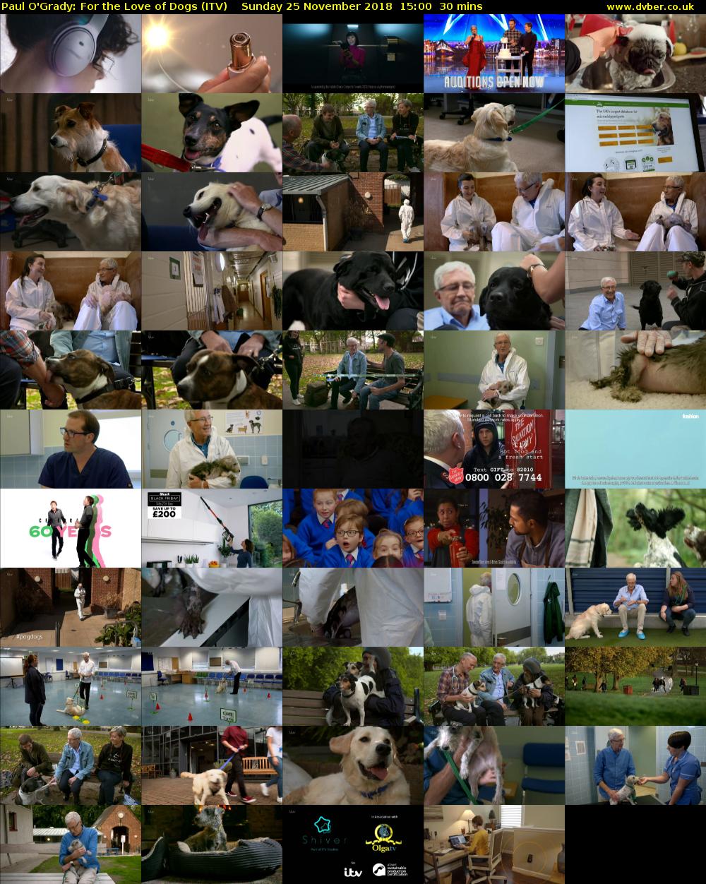 Paul O'Grady: For the Love of Dogs (ITV) Sunday 25 November 2018 15:00 - 15:30