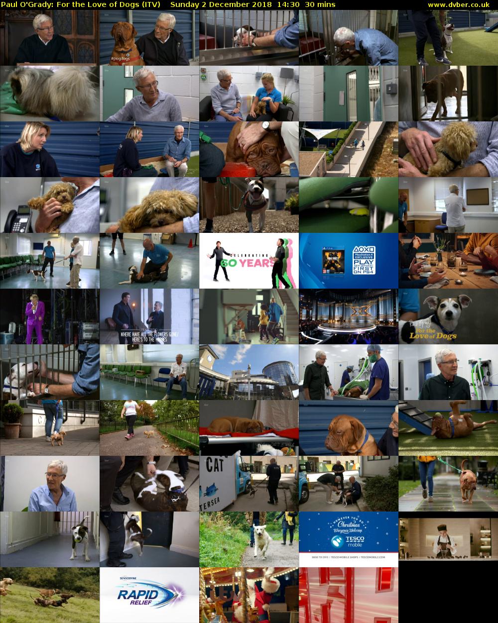 Paul O'Grady: For the Love of Dogs (ITV) Sunday 2 December 2018 14:30 - 15:00