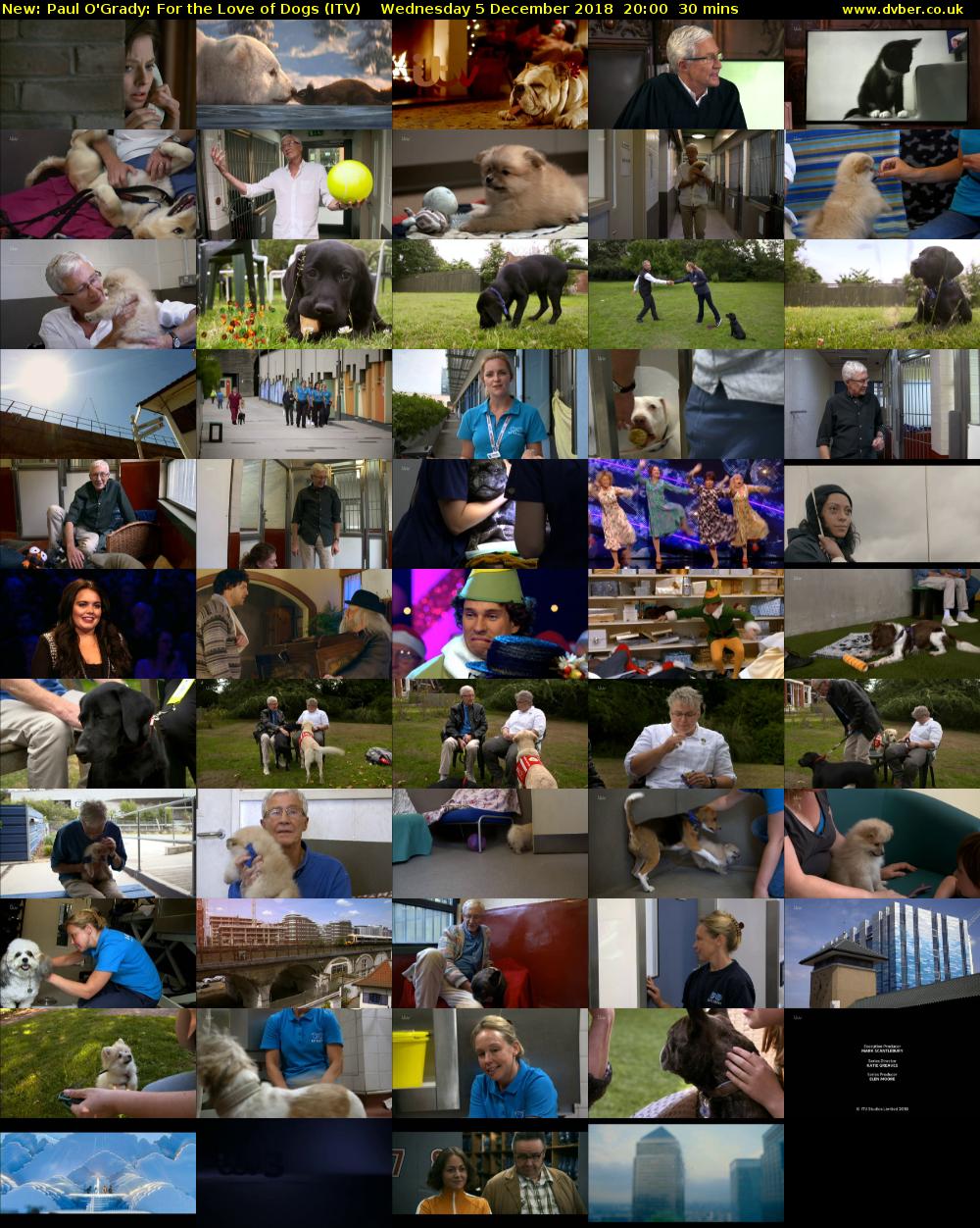 Paul O'Grady: For the Love of Dogs (ITV) Wednesday 5 December 2018 20:00 - 20:30