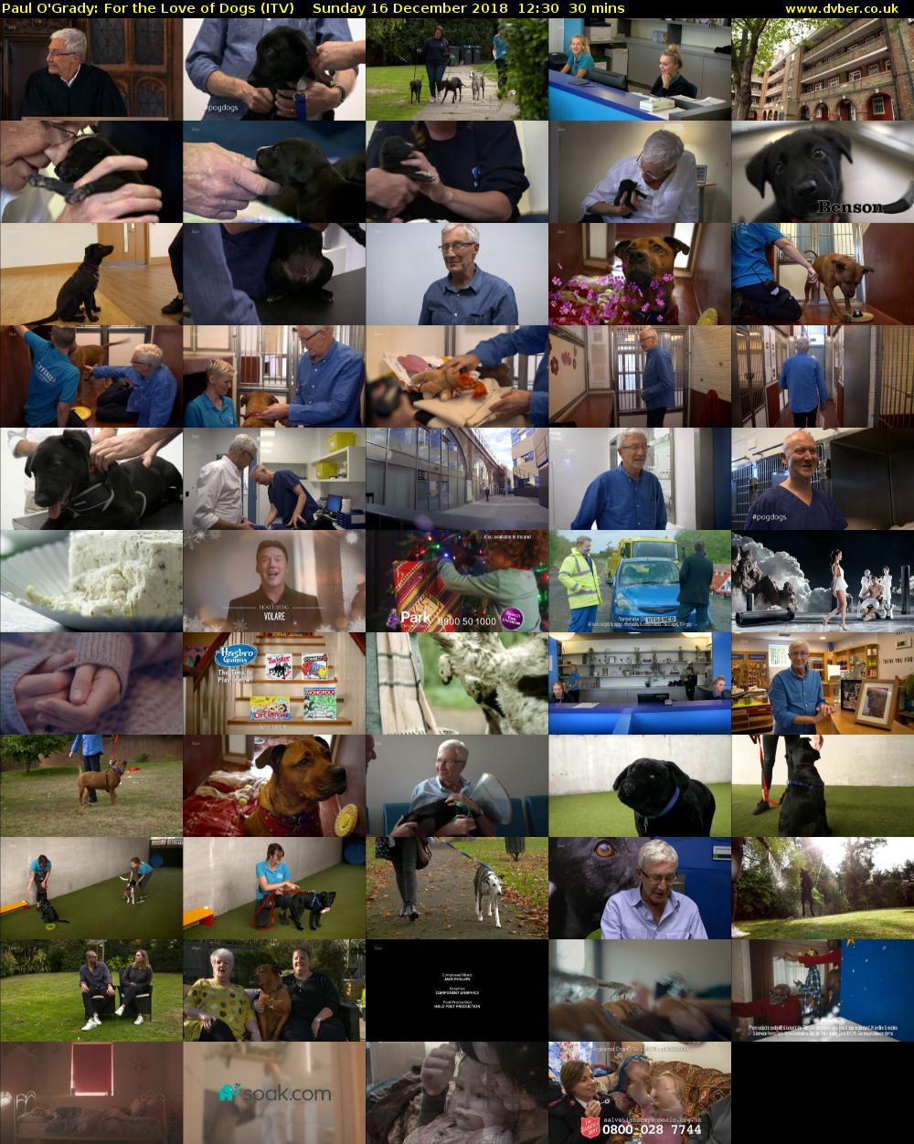 Paul O'Grady: For the Love of Dogs (ITV) Sunday 16 December 2018 12:30 - 13:00