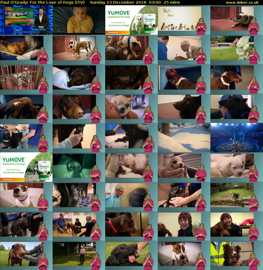 Paul O'Grady: For the Love of Dogs (ITV) Sunday 23 December 2018 03:00 - 03:25