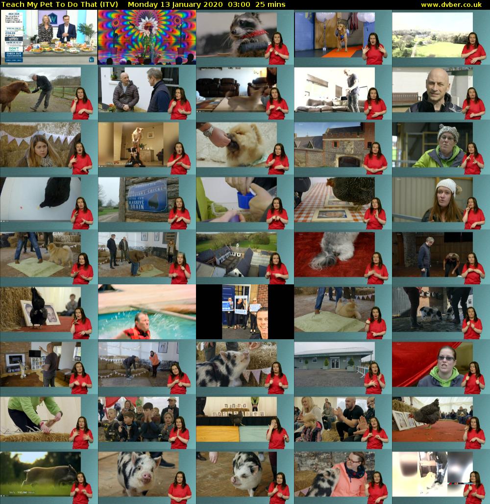 Teach My Pet To Do That (ITV) Monday 13 January 2020 03:00 - 03:25