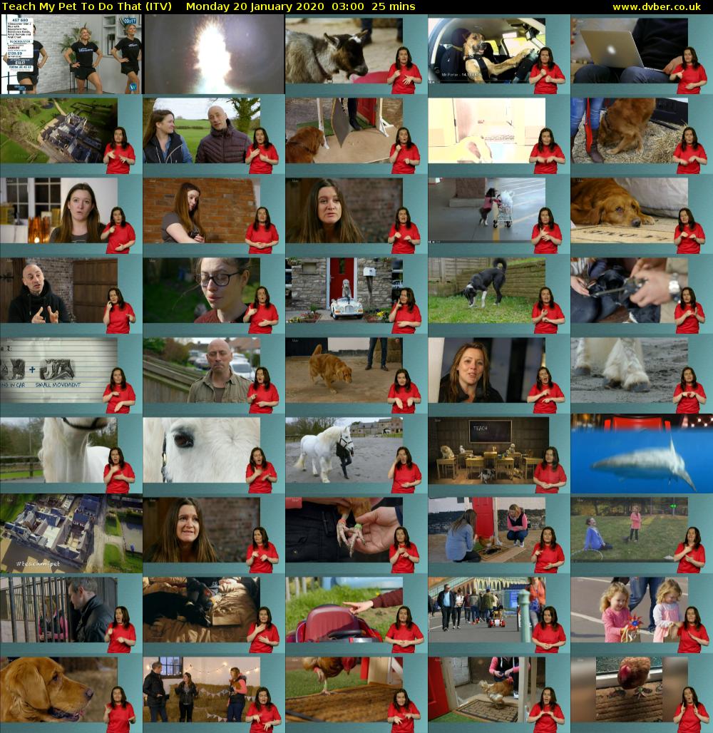 Teach My Pet To Do That (ITV) Monday 20 January 2020 03:00 - 03:25