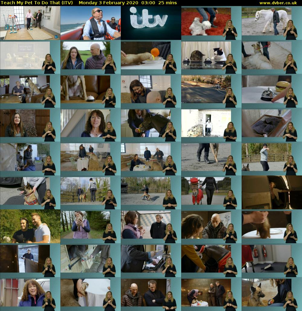 Teach My Pet To Do That (ITV) Monday 3 February 2020 03:00 - 03:25