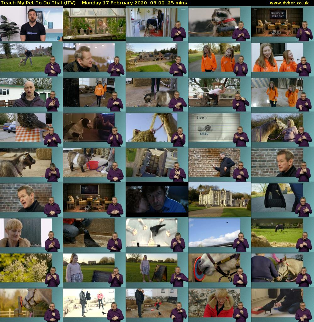 Teach My Pet To Do That (ITV) Monday 17 February 2020 03:00 - 03:25