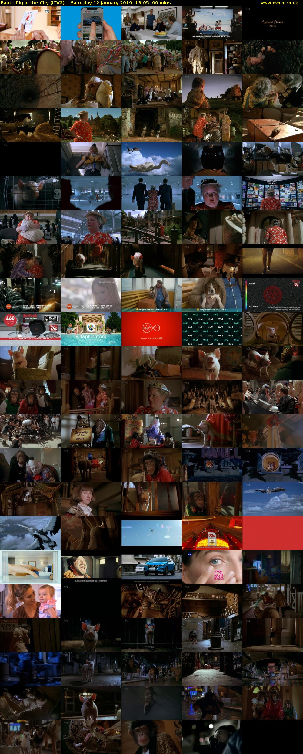 Babe: Pig in the City (ITV2) Saturday 12 January 2019 13:05 - 14:05