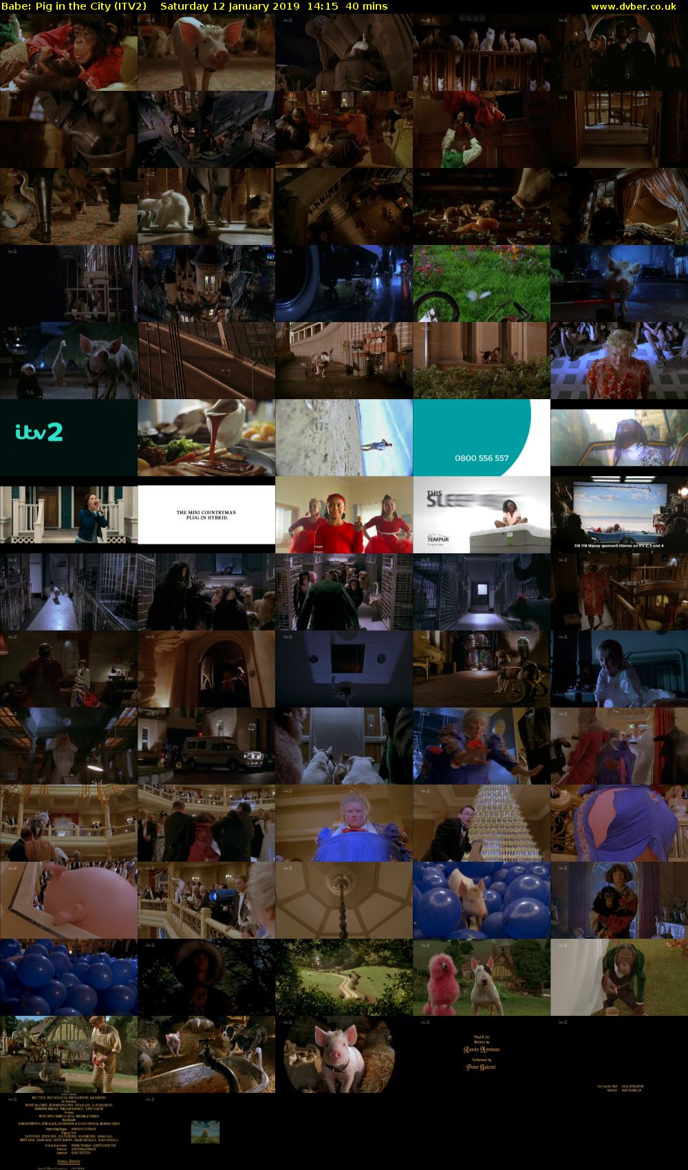 Babe: Pig in the City (ITV2) Saturday 12 January 2019 14:15 - 14:55