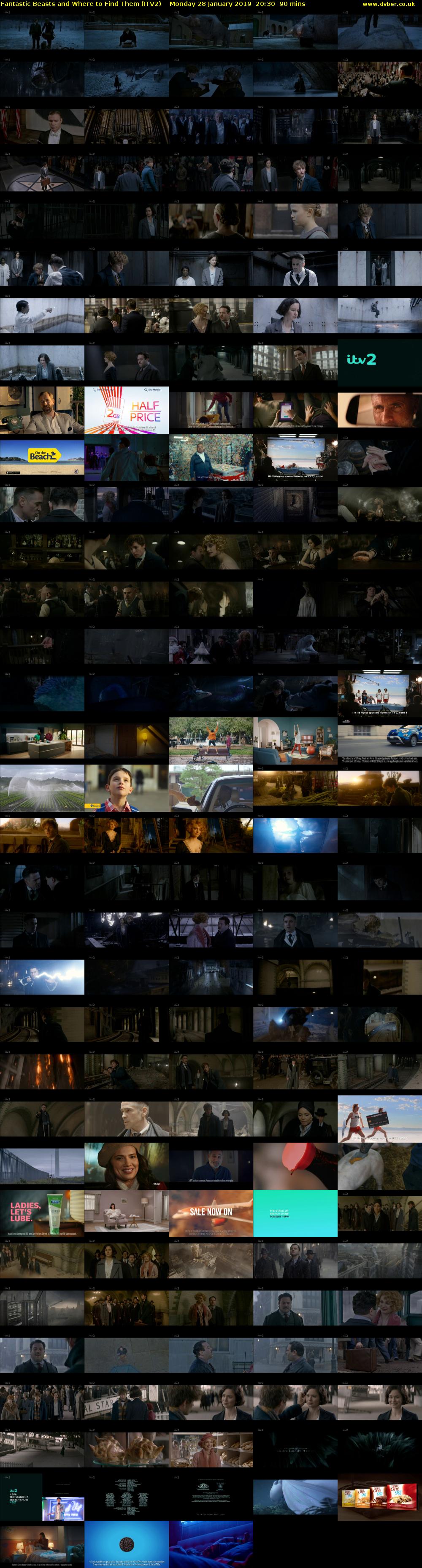 Fantastic Beasts and Where to Find Them (ITV2) Monday 28 January 2019 20:30 - 22:00