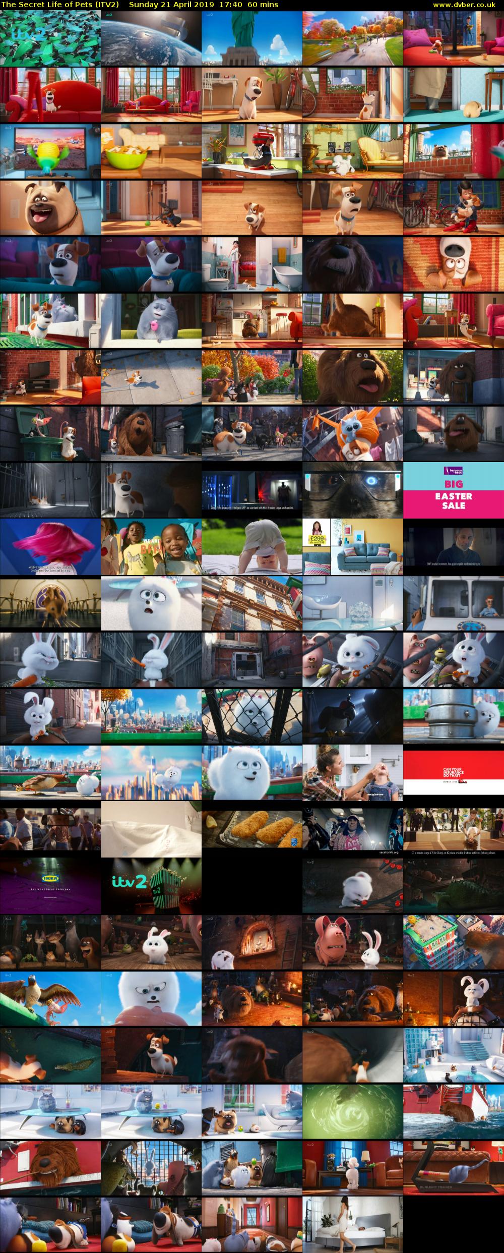 The Secret Life of Pets (ITV2) Sunday 21 April 2019 17:40 - 18:40